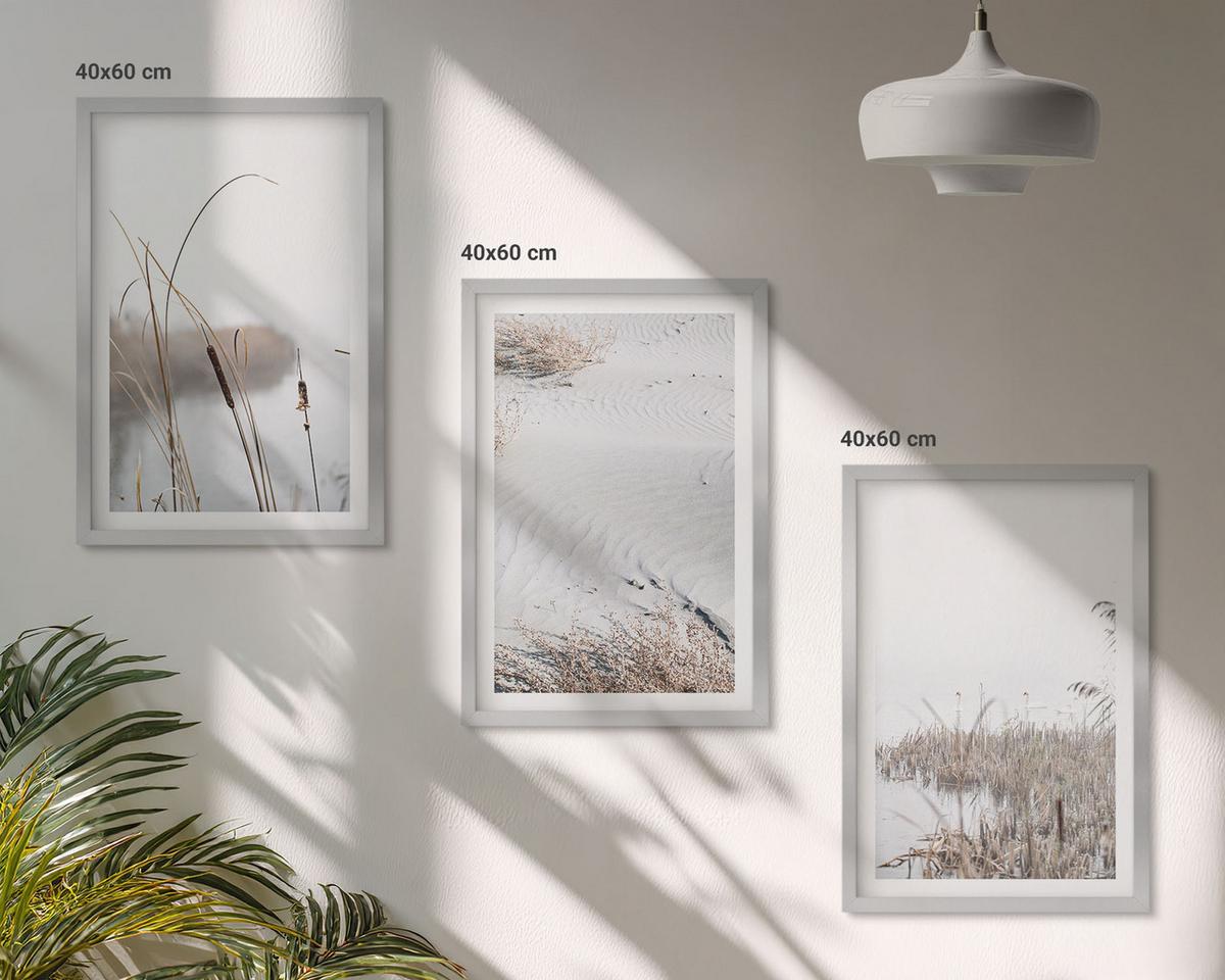 BILDER SET 3er Set - 40x60 cm Silberner Rahmen - Wasserpflanzen im Sommer - Silberfarben, Kunststoff (40/60cm) - TULUP