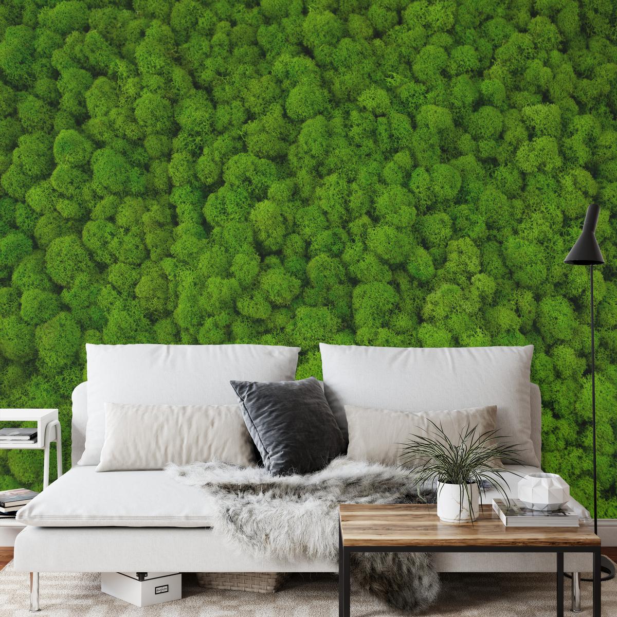 FOTOTAPETE für Jugendzimmer Dekorativer Grüner Moos Modern 150x105 - Grün, Papier (150/105cm) - Muralo