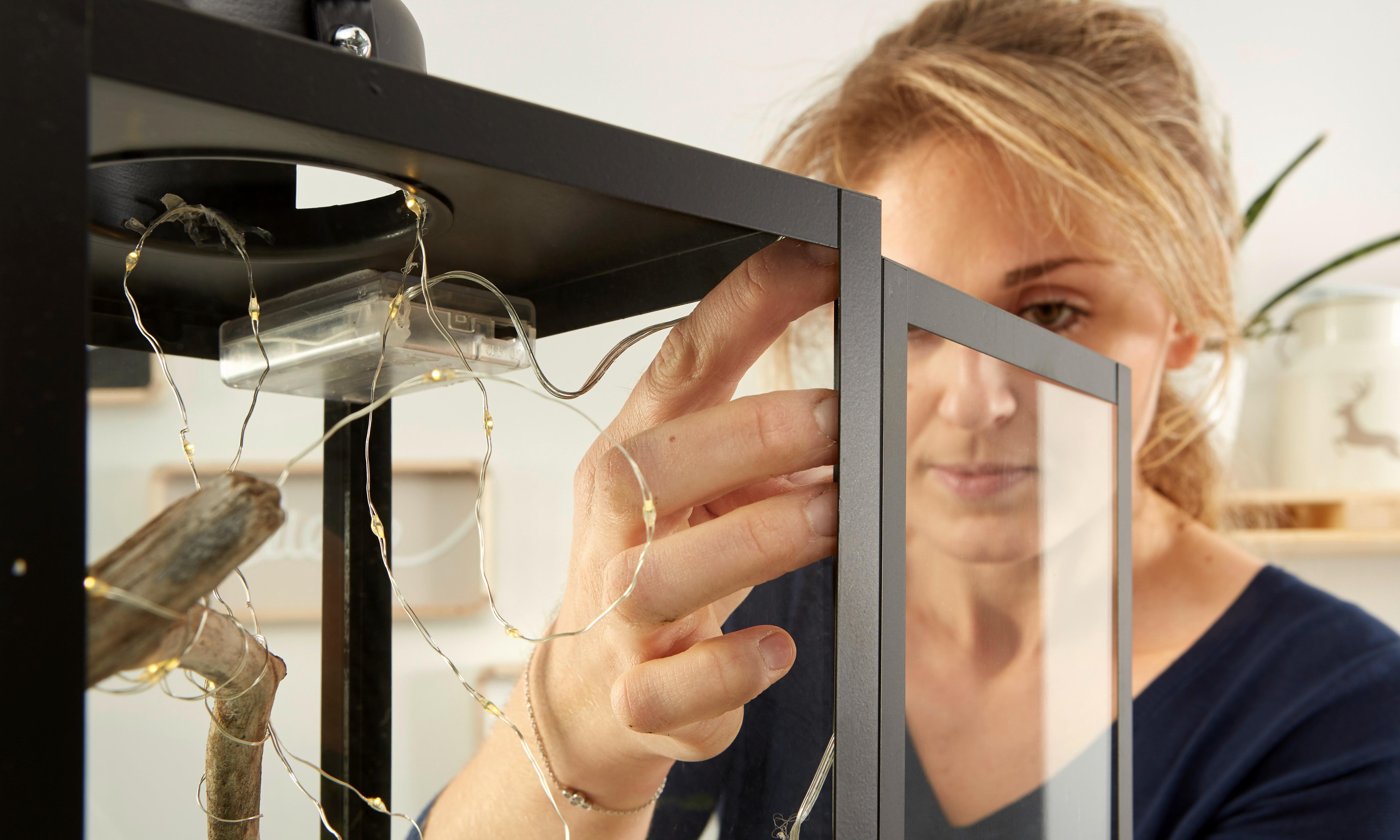 DIY lámpás növényekkel: 5. lépés