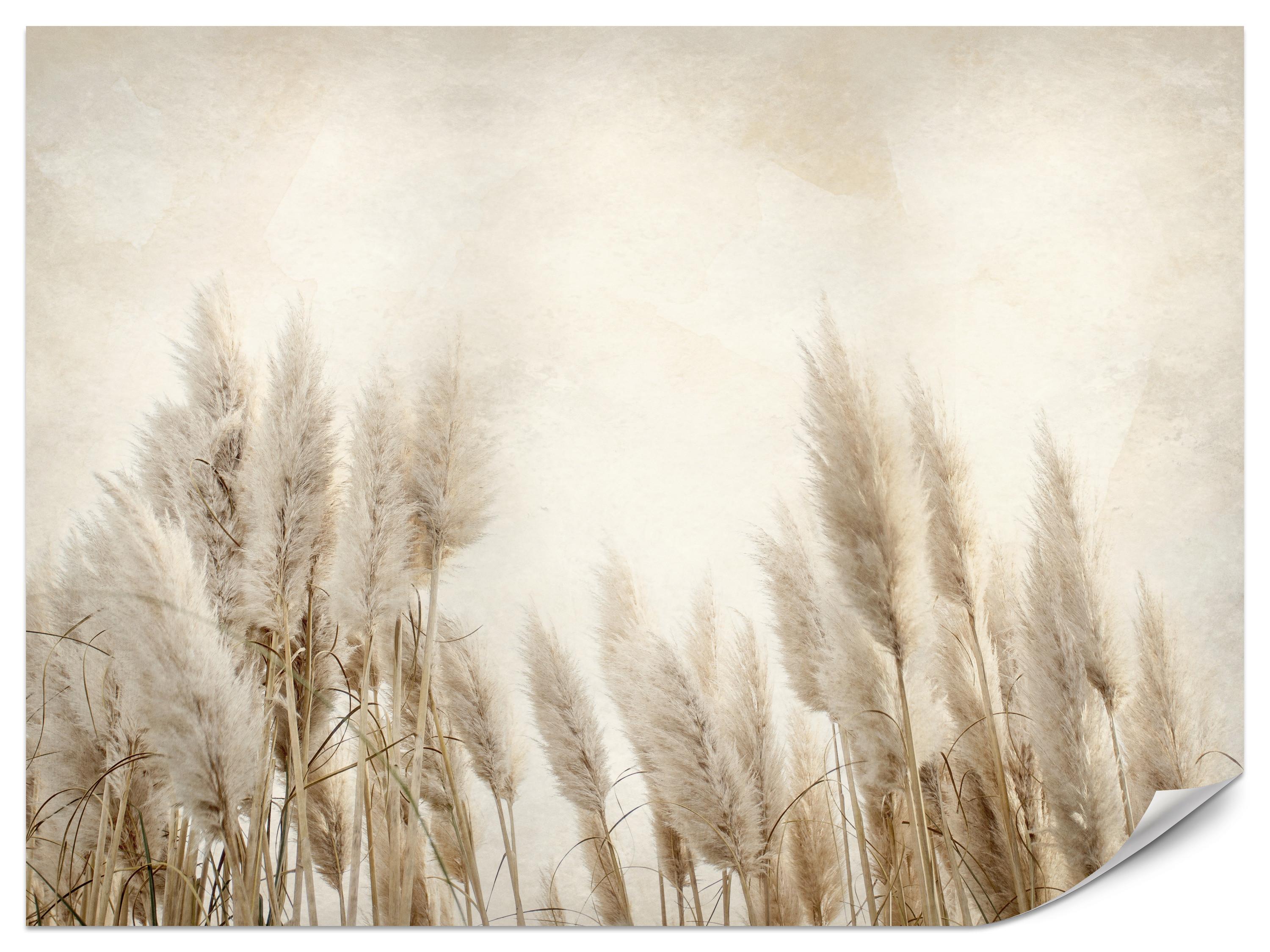FOTOTAPETE für Schlafzimmer Boho Pampasgras Beton Pflanzen Vintage 150x105 - Beige/Braun, Papier (150/105cm) - Muralo