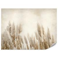 FOTOTAPETE für Schlafzimmer Boho Pampasgras Beton Pflanzen Vintage 150x105 - Beige/Braun, Papier (150/105cm) - Muralo