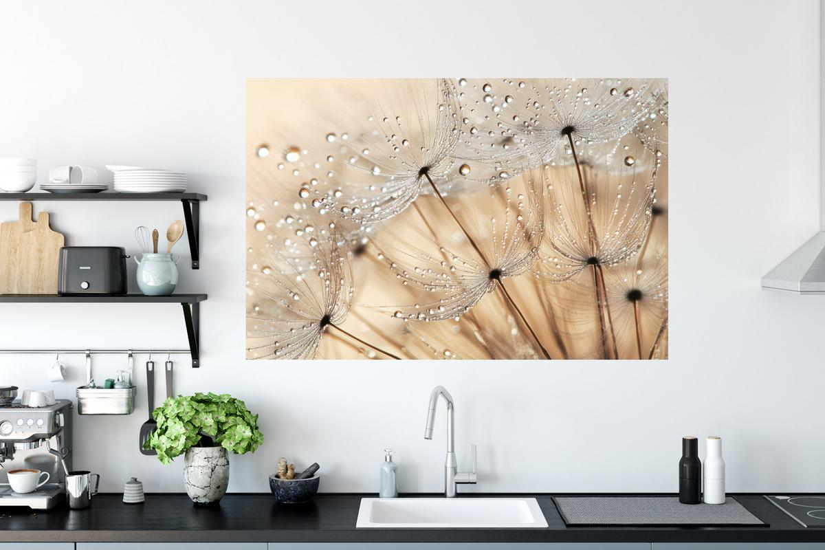 WANDTATTOO Löwenzahn - Abstrakt - Natur - Beige Wandsticker 120x80 cm - Braun, Kunststoff (120/80/0.1cm) - MuchoWow