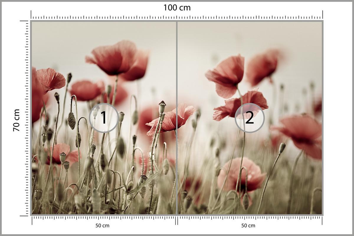 FOTOTAPETE für Wohnzimmer Zarte Mohn Blumen Wiese Rot 100x70 - Beige/Rot, Papier (100/70cm) - Muralo
