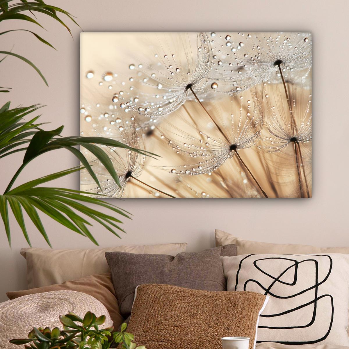 LEINWANDBILD Löwenzahn - Abstrakt - Natur - Beige Wandbilder 80x60 cm - Braun, Textil (80/60cm) - MuchoWow