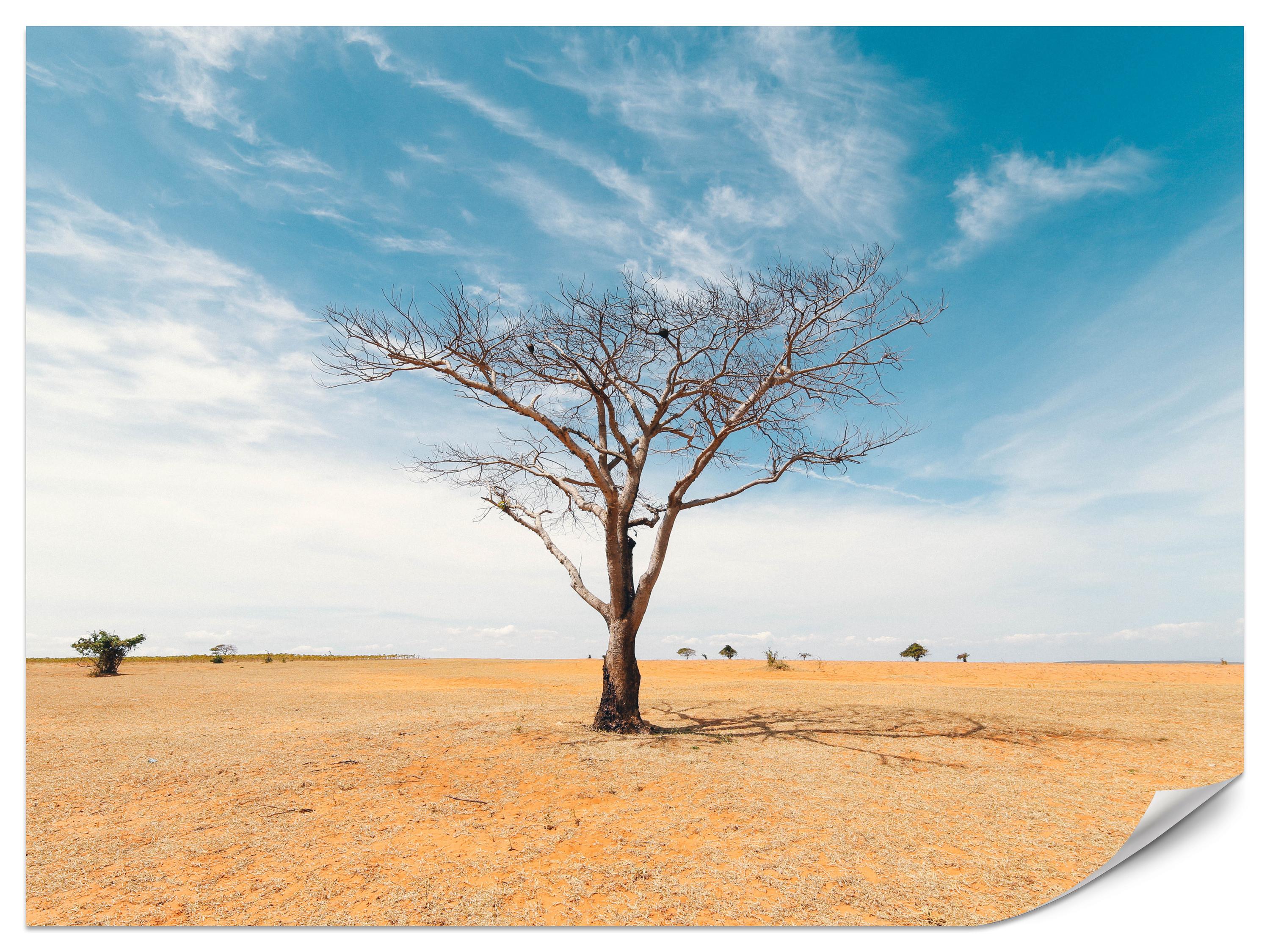 FOTOTAPETE für Wohnzimmer Trockener Baum Wüste Sand 450x315 - Beige/Orange, Papier (450/315cm) - Muralo