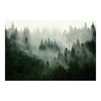 FOTOTAPETE Tiefgrüner Tannenwald im Nebel 288/190 cm - Grün, Papier (288/190cm) - Bilderwelten