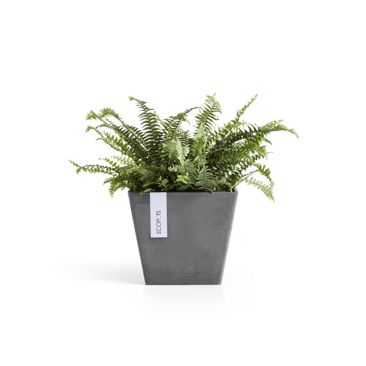 BLUMENTOPF Rotterdam 20,3/20,3/17,8 cm Grau - Grau, Kunststoff (20.3/17.8cm) - Ecopots