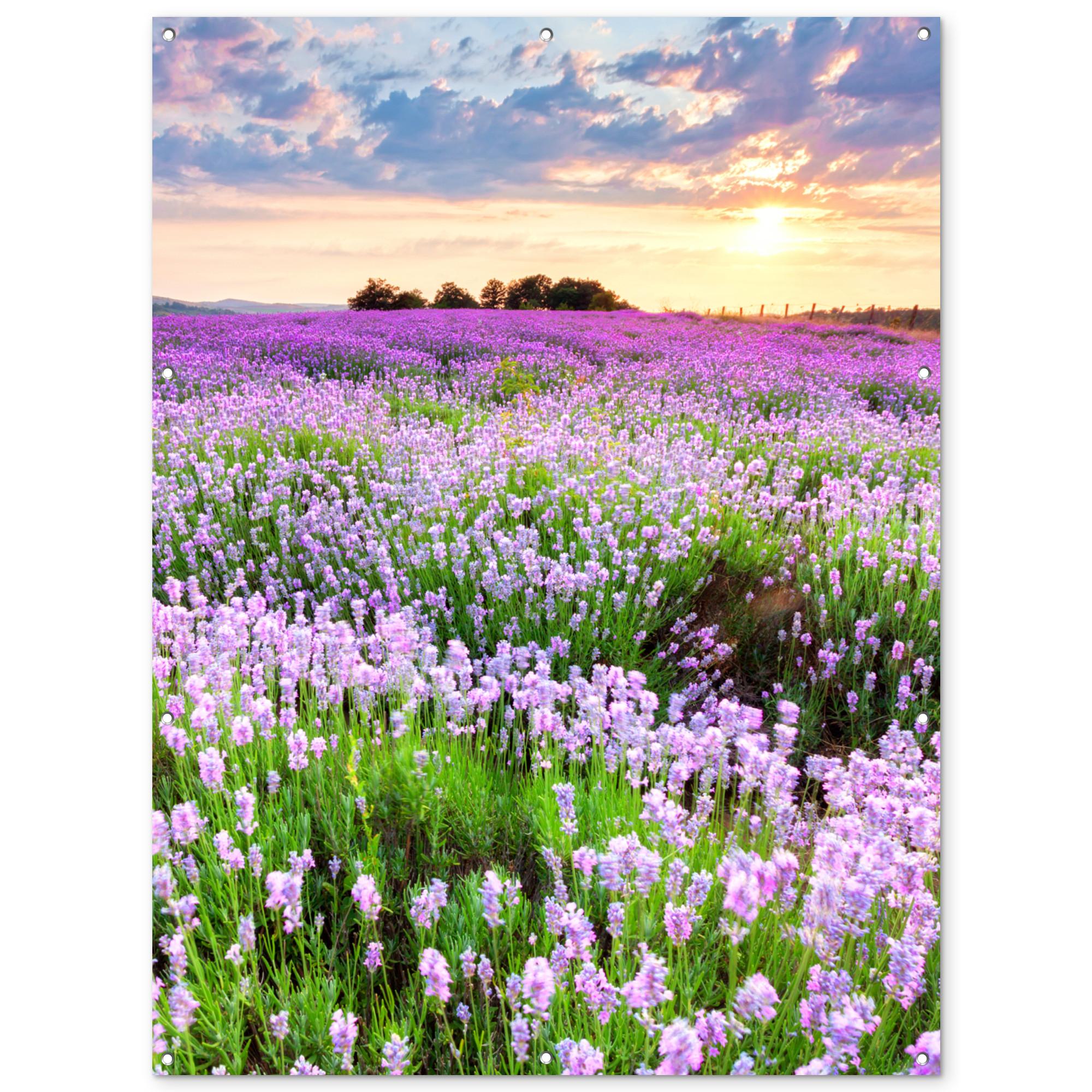 GARTENPOSTER Blumen - Lavendel - Lila - Himmel - Sonnenuntergang - Wiese - Natur Gartendekoration 120x160 cm - Flieder, Kunststoff (120/160/0.2cm) - OnlyWow