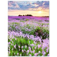 GARTENPOSTER Blumen - Lavendel - Lila - Himmel - Sonnenuntergang - Wiese - Natur Gartendekoration 120x160 cm - Flieder, Kunststoff (120/160/0.2cm) - OnlyWow