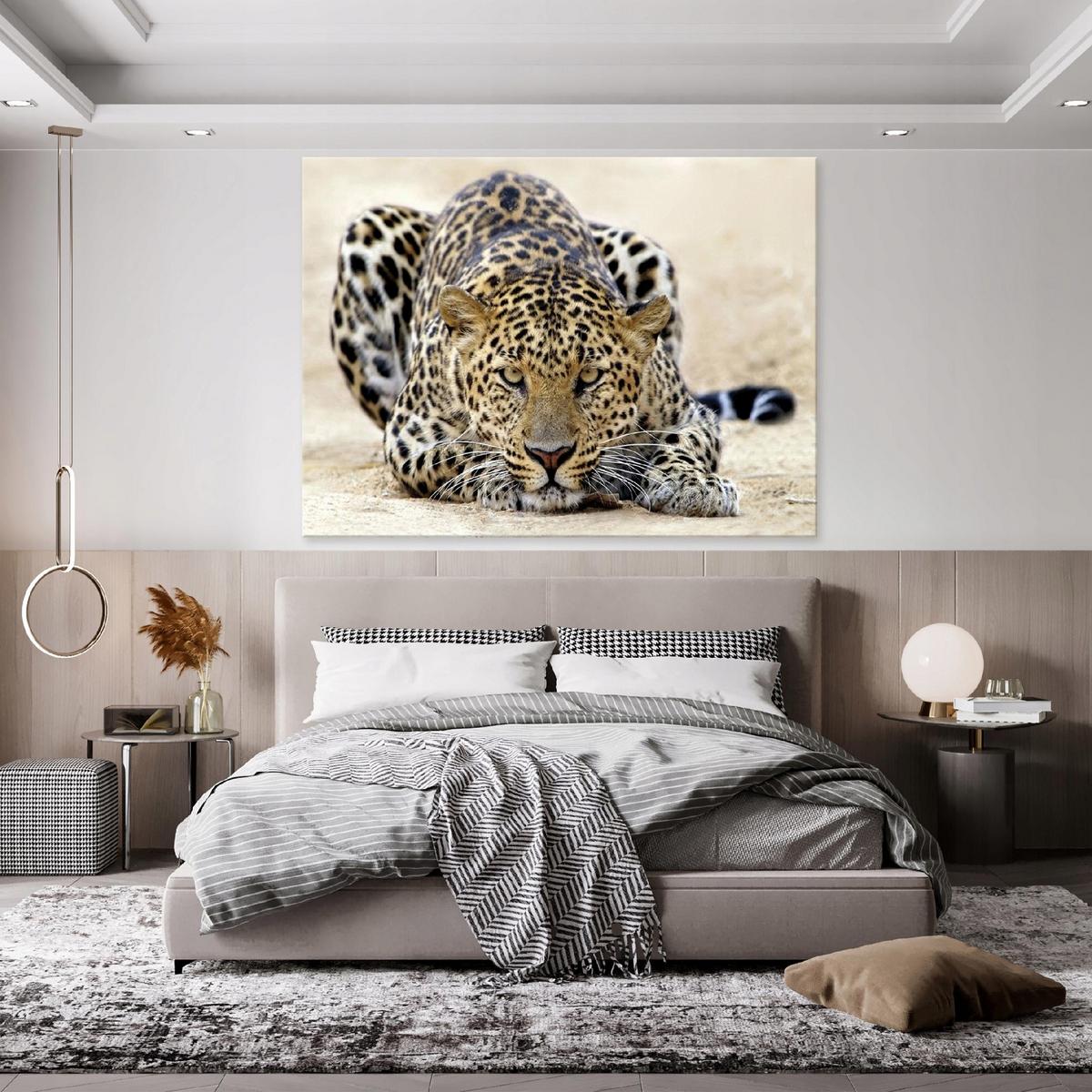 LEINWANDBILD Lampard Tiere Beige 60x40 cm - Multicolor, Holzwerkstoff (60/40cm) - Wallarena