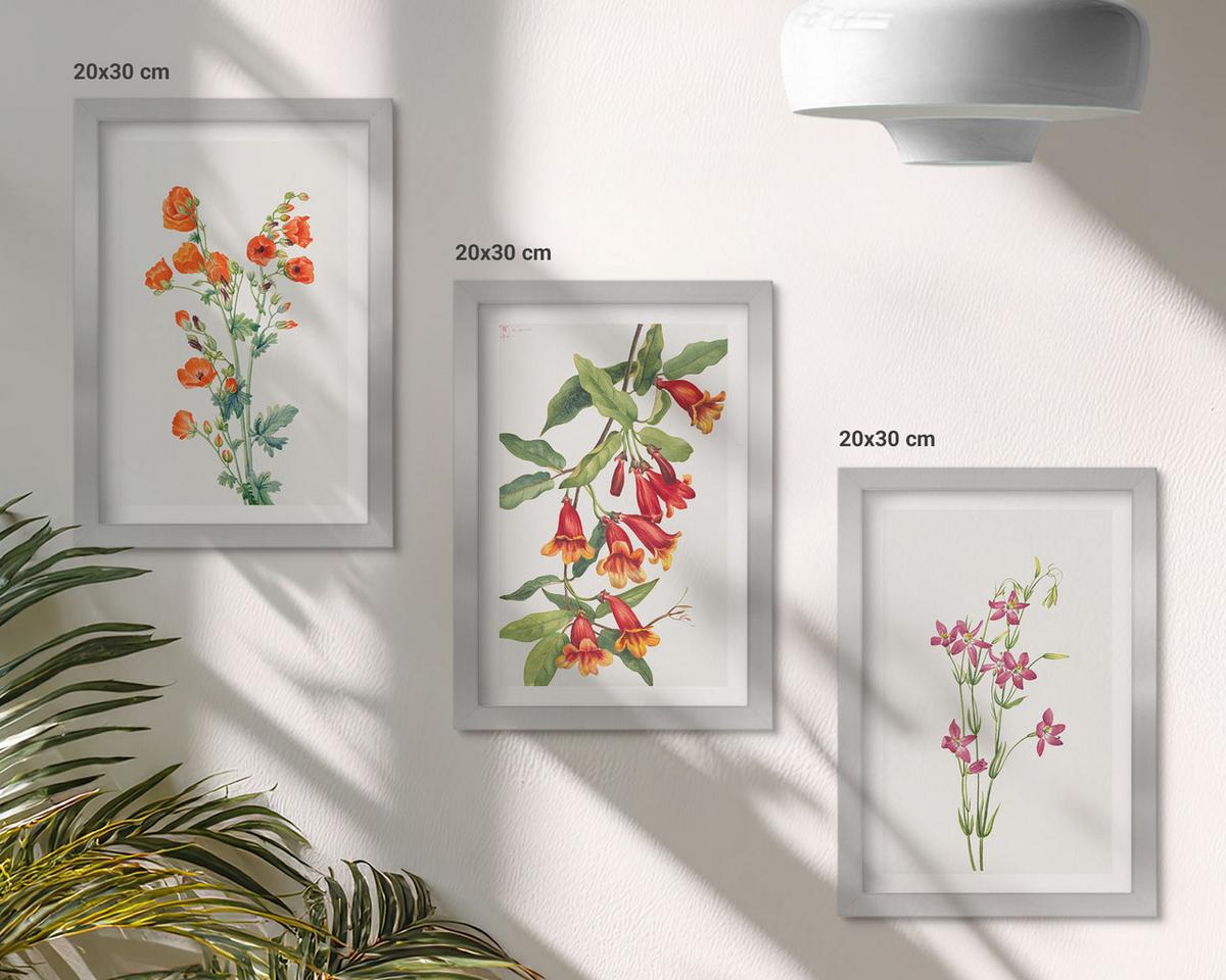 BILDER SET 3er Set - 20x30 cm Silberner Rahmen - Vintage-Retro-Blumenmalerei - Silberfarben, Kunststoff (20/30cm) - TULUP