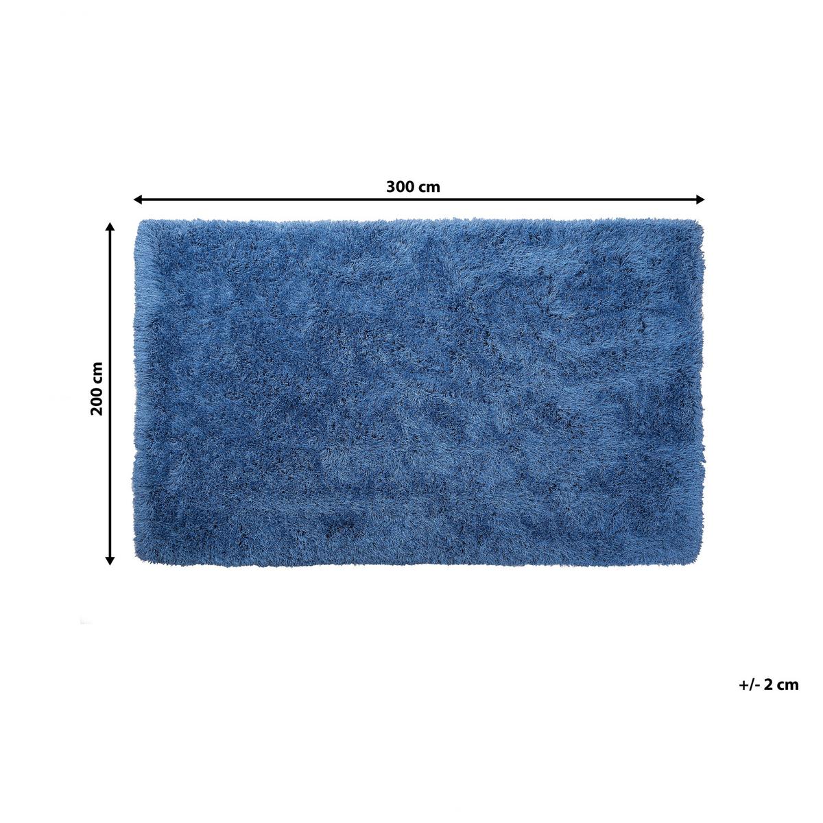 SHAGGY-TEPPICH Cide 300/200 cm - Blau, Kunststoff (200/300cm) - Beliani