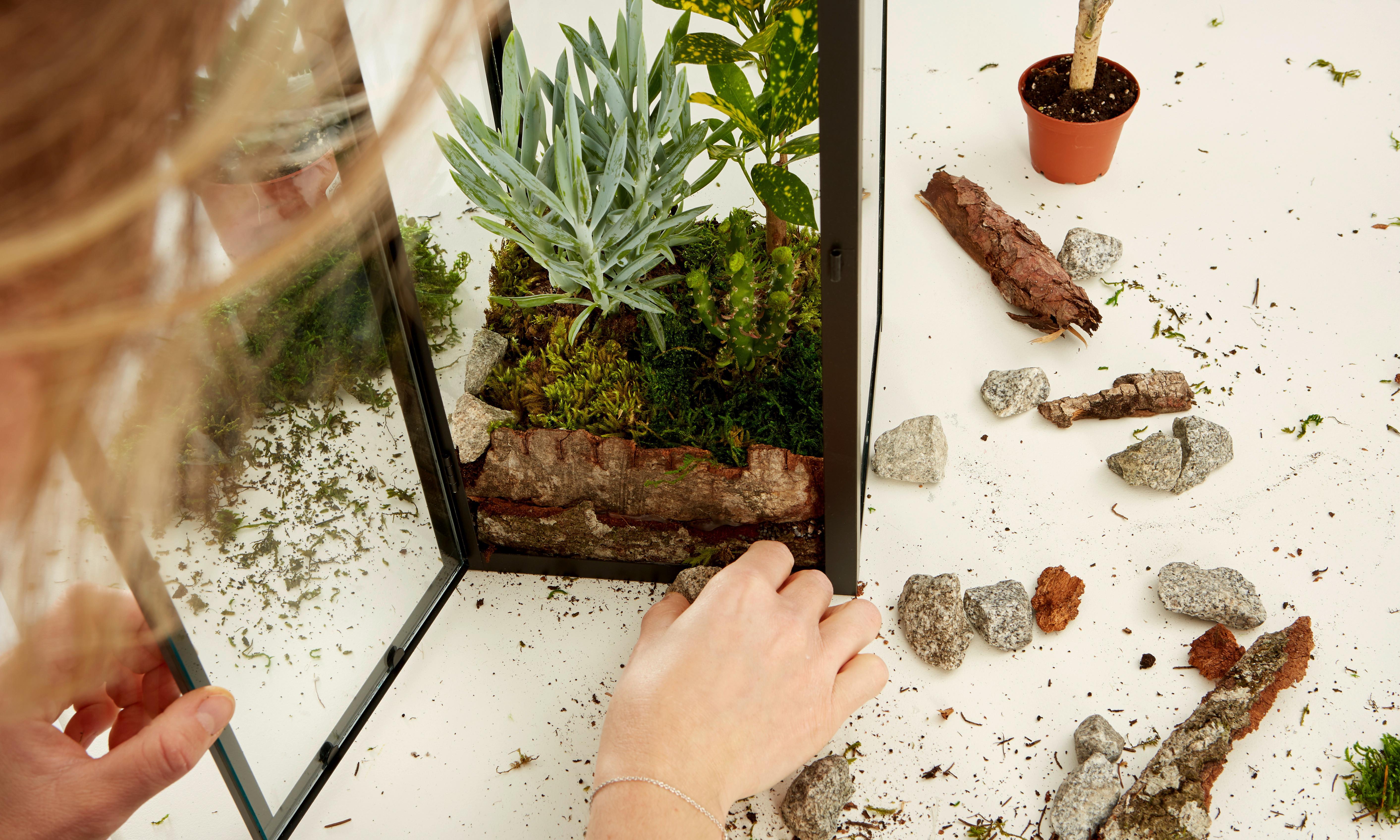 DIY lámpás növényekkel: 3. lépés
