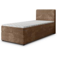 BOXBETT PISA 80 80x200 cm mit Matratze und Topper, H2+H3 - Beige - Beige, Holz (80/200cm) - MASSENO