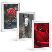 BILDER SET 3er Set - 40x60 cm Weißer Rahmen - Rote Rosen, Pferdegrau, Welt - Weiß, Kunststoff (40/60cm) - TULUP