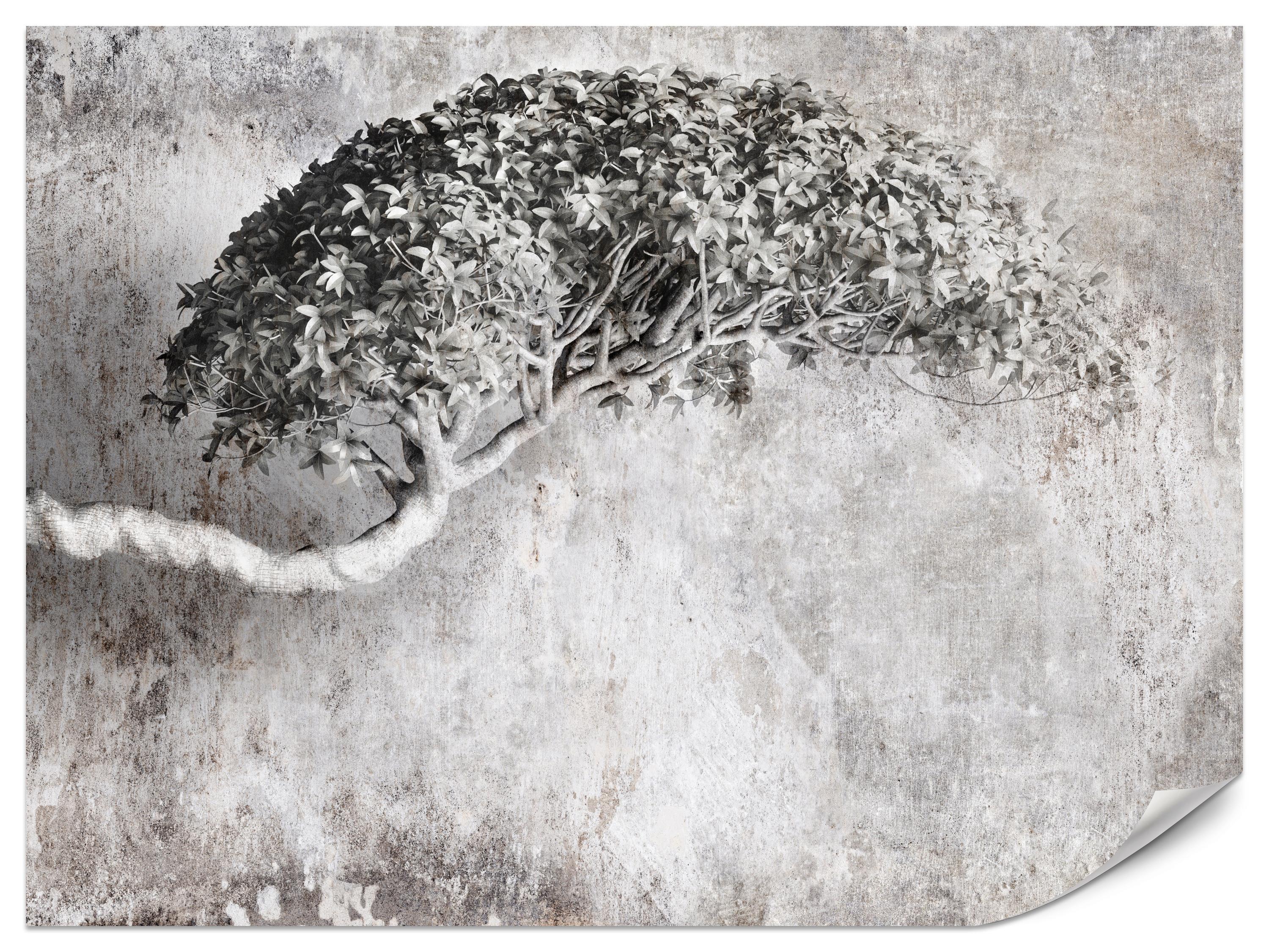 FOTOTAPETE Abstrakter Baum Beton 3D Effekt 400x280 - Schwarz/Grau, Papier (400/280cm) - Muralo
