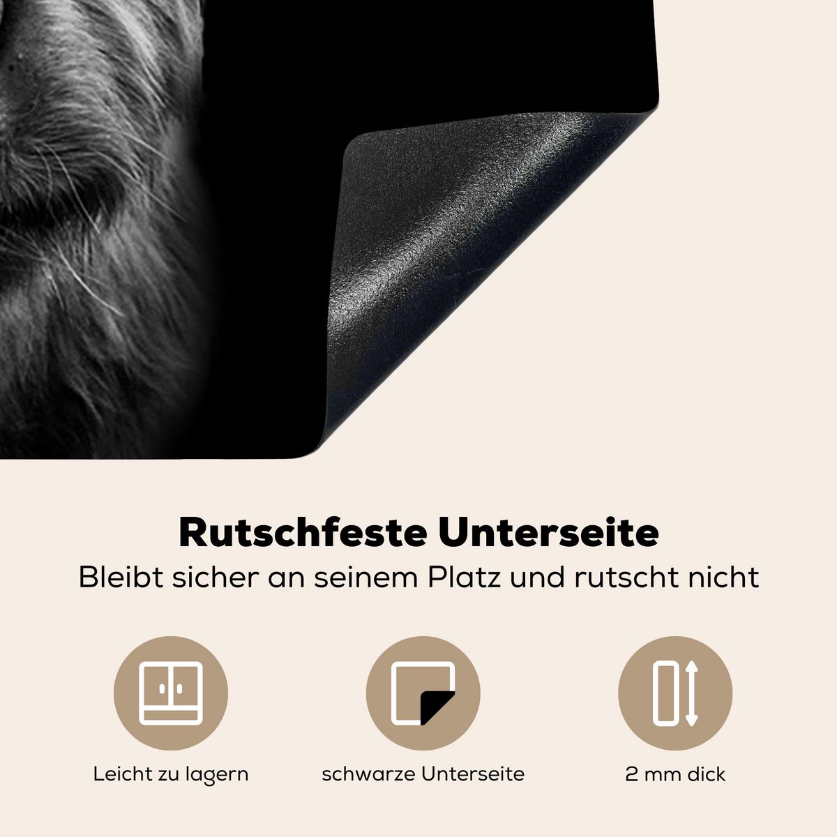 HERDABDECKPLATTE Schottischer Highlander - Hörner - Schwarz - Weiß - Kuh - Wild - Tiere Induktionsmatte 77x59 cm - Schwarz, Kunststoff (77/59/0.2cm) - MuchoWow