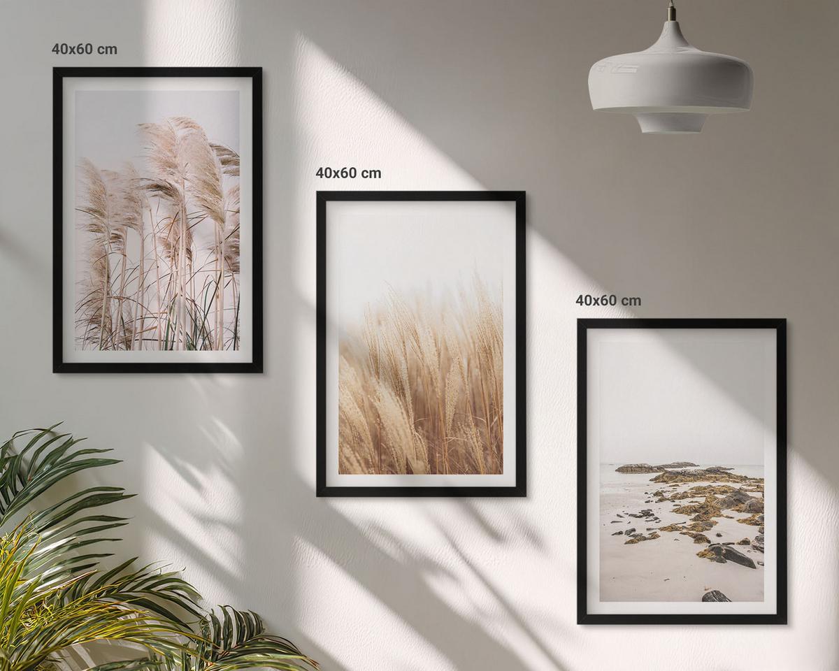BILDER SET 3er Set - 40x60 cm Schwarzer Rahmen - Pampasgrasfelder und ein Boho-Strand - Schwarz, Kunststoff (40/60cm) - TULUP