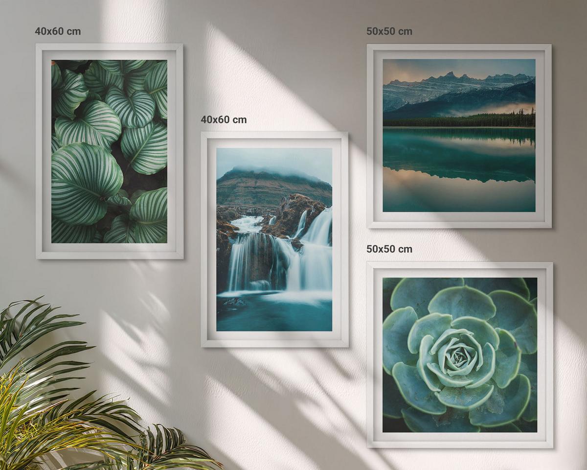 BILDER SET 4er Set - 50x50 cm & 40x60 cm Weißer Rahmen - Nahaufnahmen von Blättern sukkulenter Pflanzen - Weiß, Kunststoff (50/50cm) - TULUP
