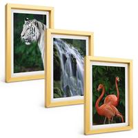BILDER SET 3er Set - 20x30 cm Goldrahmen - Tiger Wasserfall Flamingos Natur - Goldfarben, Kunststoff (20/30cm) - TULUP