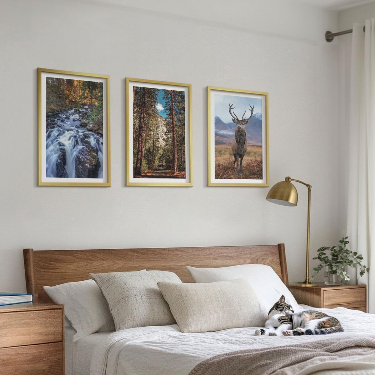 BILDER SET 3er Set - 40x60 cm Goldrahmen - Wasserfall Wald Berge Hirsch Natur - Goldfarben, Kunststoff (40/60cm) - TULUP