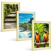 BILDER SET 3er Set - 40x60 cm Goldrahmen - Tropischer Wald Papageienwasserfall - Goldfarben, Kunststoff (40/60cm) - TULUP