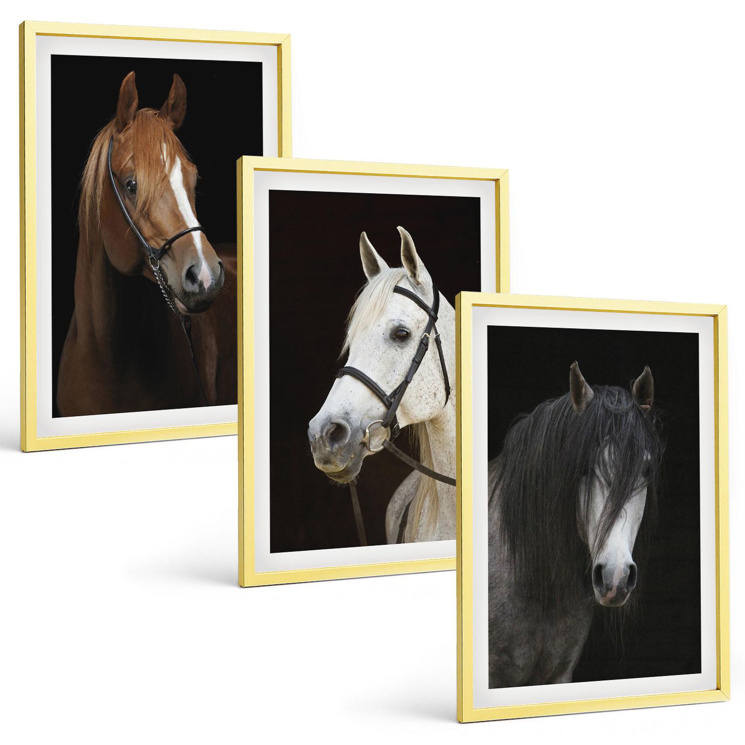 BILDER SET 3er Set - 40x60 cm Goldrahmen - Porträts von Pferden in verschiedenen Fellfarben - Goldfarben, Kunststoff (40/60cm) - TULUP