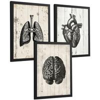 POSTER Set aus 3 Anatomie Mensch Drucke und mit Gehirn Herz Lungen Luftröhre Bronchien Industrielles Schwarz Weiß Design Größe Schwarzer Rahmen A4 - Schwarz, Papier (21/29.7/3cm) - Nacnic