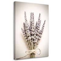 LEINWANDBILD @Pflanzen Natur Boho 70x100cm - Beige, Textil (70/100cm) - Feeby