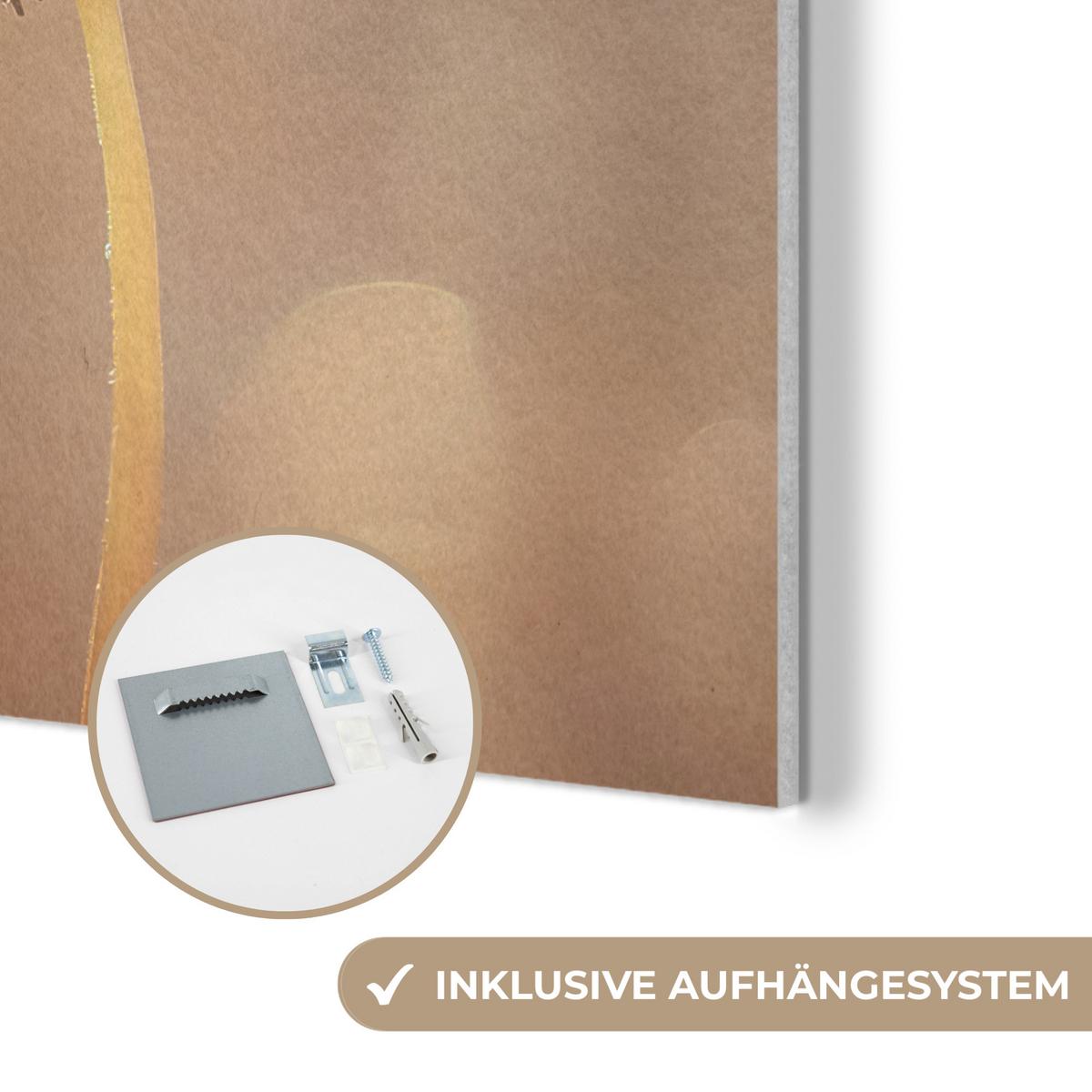 AKUSTIKBILD Löwenzahn - Beige - Natur - Blume Kunstdruck Schlafzimmer 50x70 cm - Hellbraun, Kunststoff (50/70/0.9cm) - MuchoWow