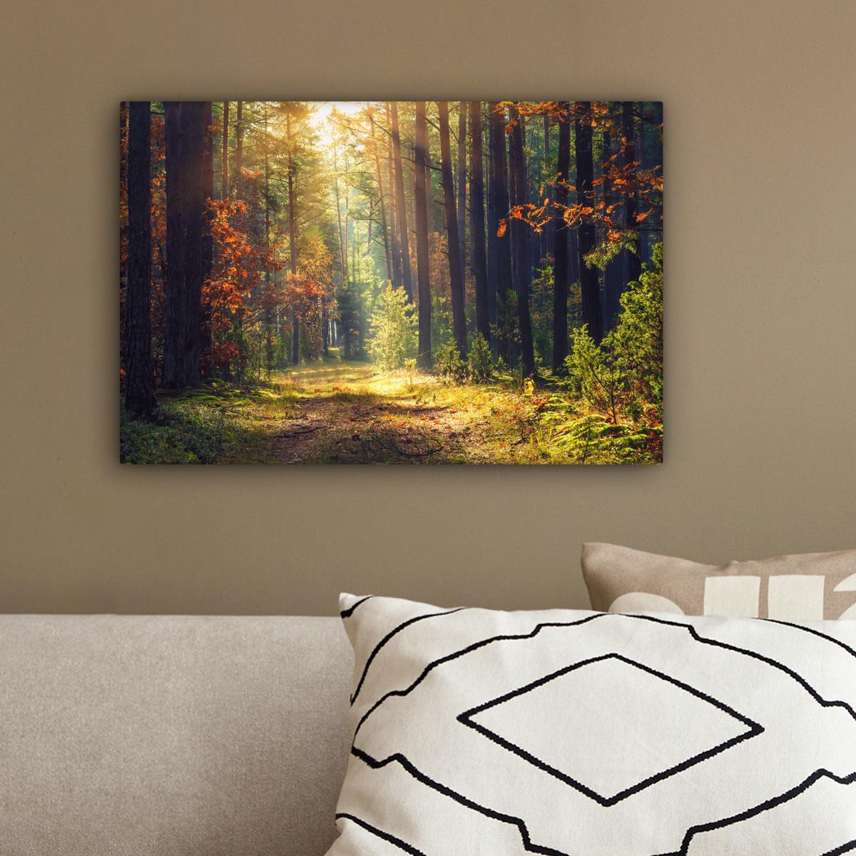 LEINWANDBILD Wald - Herbst - Bäume Deko Schlafzimmer 30x20 cm - Dunkelgrün, Textil (30/20cm) - MuchoWow
