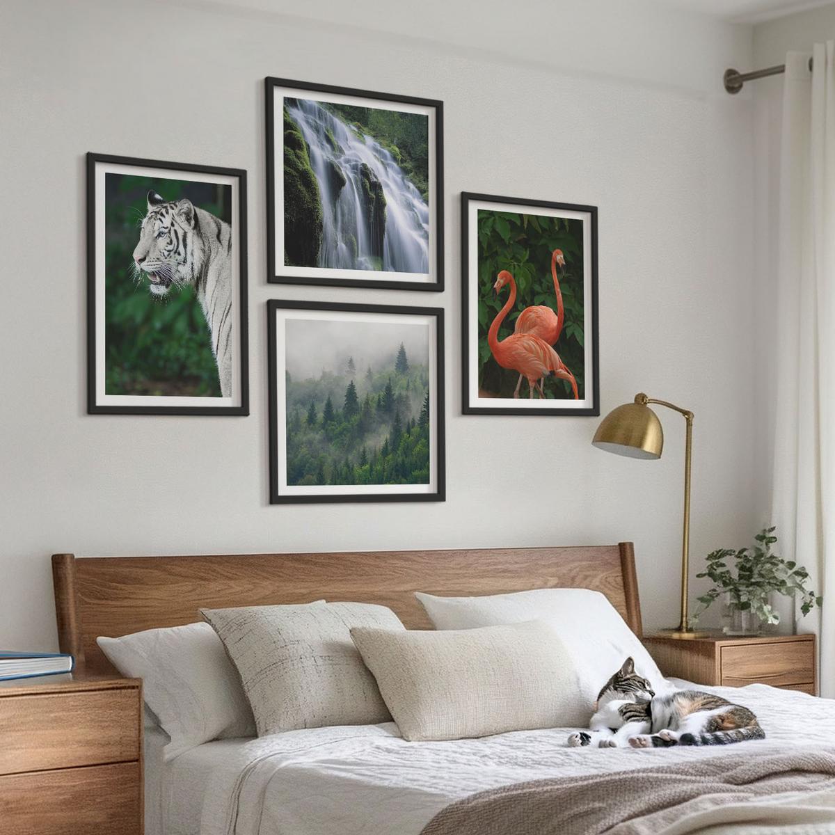 BILDER SET 4er Set - 50x50 cm & 40x60 cm Schwarzer Rahmen - Tiger Wasserfall Flamingos Natur - Schwarz, Kunststoff (50/50cm) - TULUP