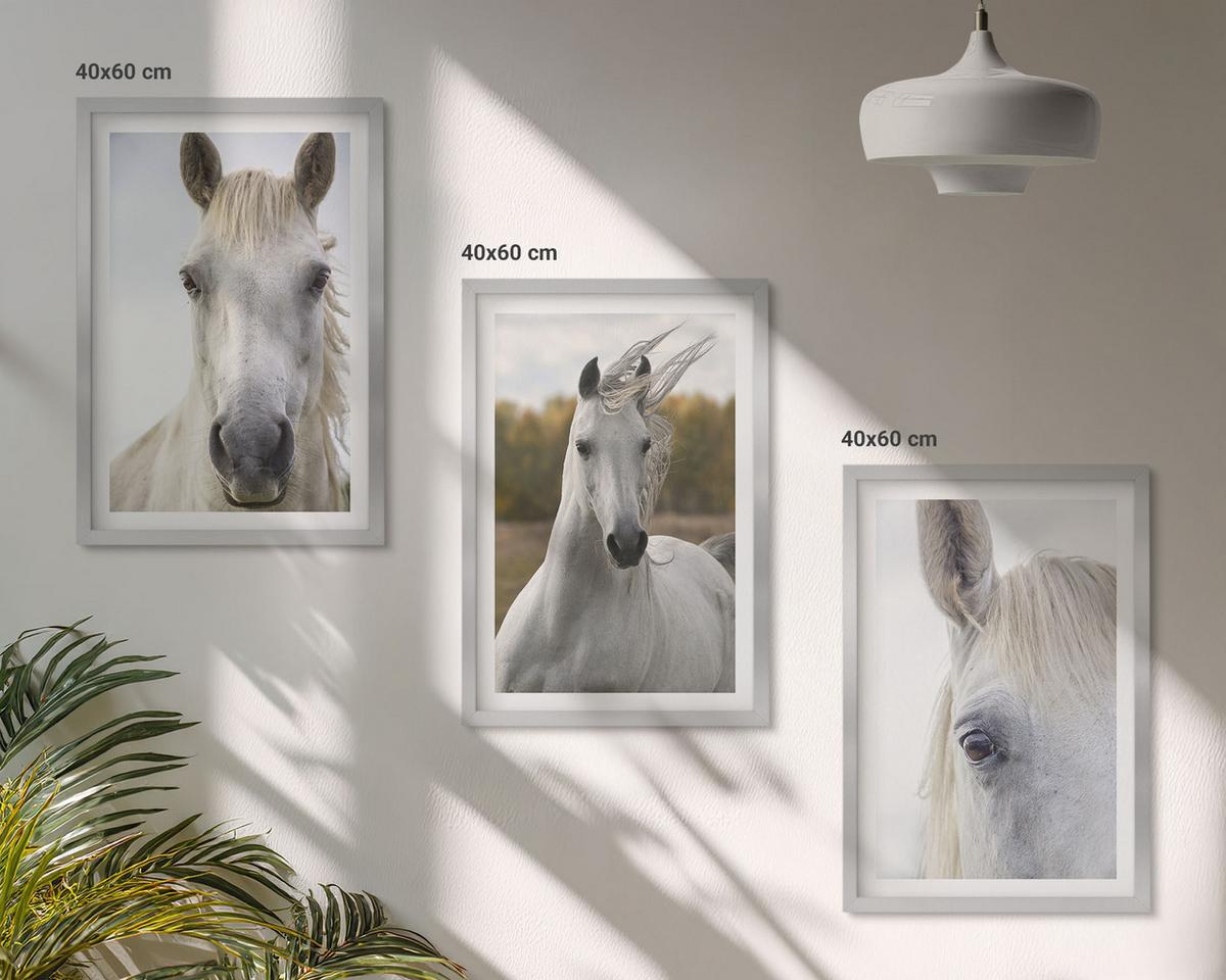 BILDER SET 3er Set - 40x60 cm Silberner Rahmen - Weiße Pferde in der Natur - Silberfarben, Kunststoff (40/60cm) - TULUP