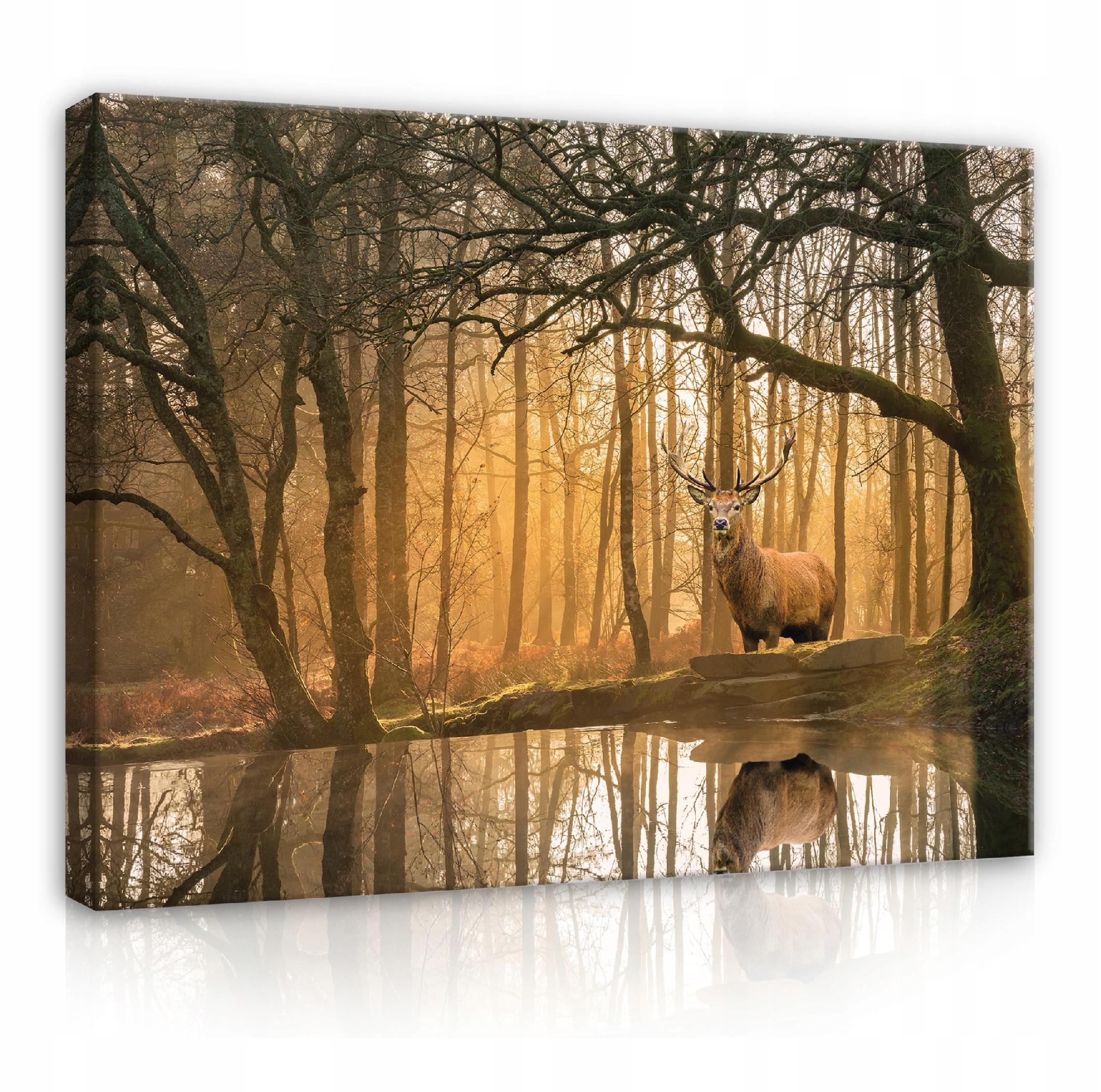 LEINWANDBILDER Natur Wald Hische 60x40 - Multicolor, Holzwerkstoff (60/40cm) - Wallarena