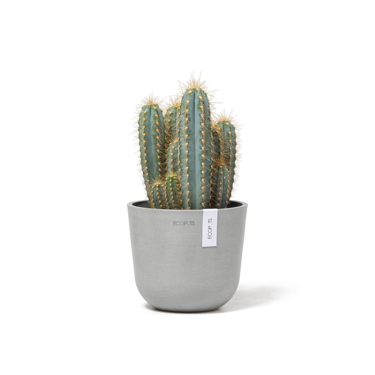 BLUMENTOPF Oslo Mini 16/13,7 cm Hellgrau - Hellgrau, Kunststoff (16/13.7cm) - Ecopots