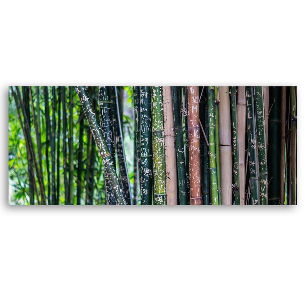 KUNSTDRUCK Grün 90/30 cm - Grün, Textil (90/30cm) - KUNSTLOFT