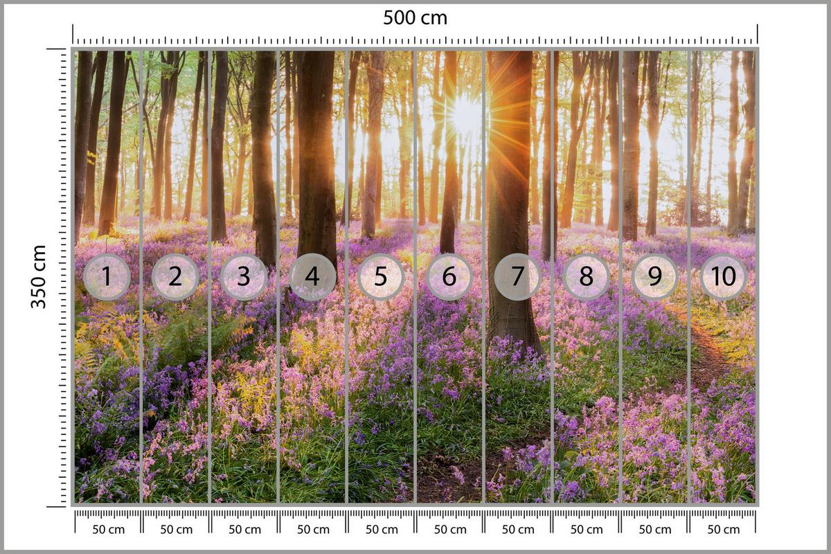 FOTOTAPETE Wald Blumen Sonnenaufgang Landschaft 3D 500x350 - Gelb/Beige, Papier (500/350cm) - Muralo