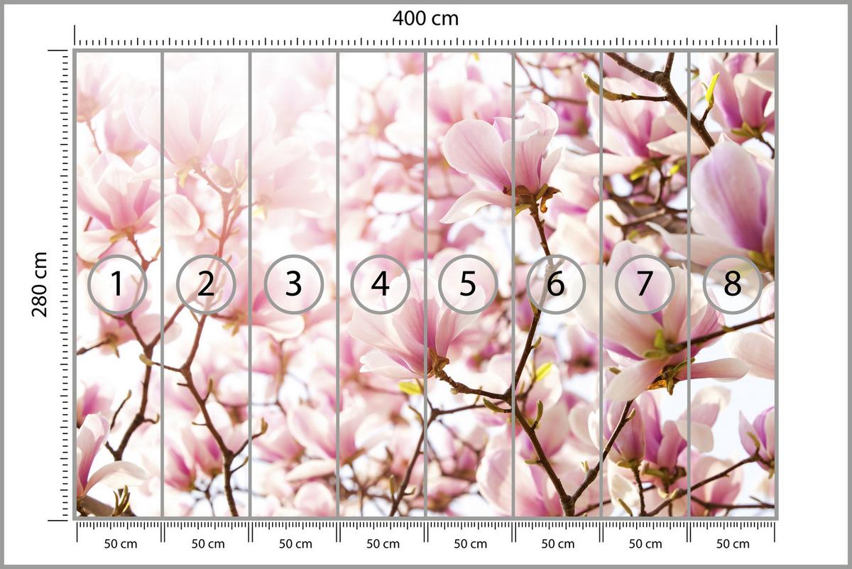 FOTOTAPETE für Schlafzimmer Rosa Magnolienblüten Floral Delikat 400x280 - Violett/Rosa, Papier (400/280cm) - Muralo