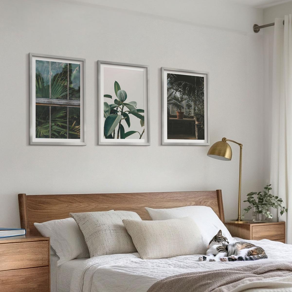 BILDER SET 3er Set - 40x60 cm Silberner Rahmen - Grüne Blätter an der Fensterpflanze - Silberfarben, Kunststoff (40/60cm) - TULUP