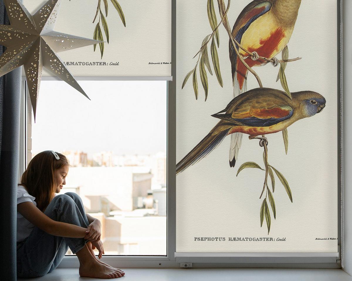 INNENROLLO - Fensterrollo - Rollo - 140x140 cm - Zwei Vögel auf einem Ast - Weiß, Kunststoff (140/140/0.5cm) - TULUP