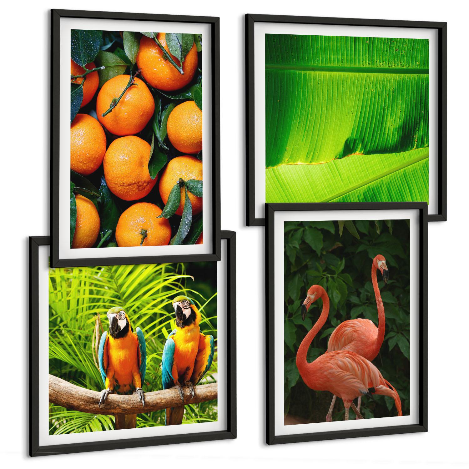 BILDER SET 4er Set - 50x50 cm & 40x60 cm Schwarzer Rahmen - Fruchtige Akzente der Tropen - Schwarz, Kunststoff (50/50cm) - TULUP
