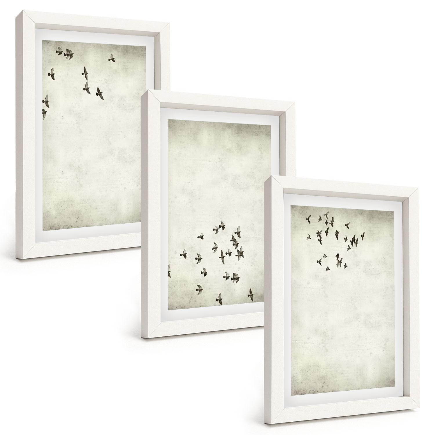 BILDER SET 3er Set - 20x30 cm Weißer Rahmen - Minimalistische Vogelmalerei - Weiß, Kunststoff (20/30cm) - TULUP