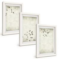 BILDER SET 3er Set - 20x30 cm Weißer Rahmen - Minimalistische Vogelmalerei - Weiß, Kunststoff (20/30cm) - TULUP