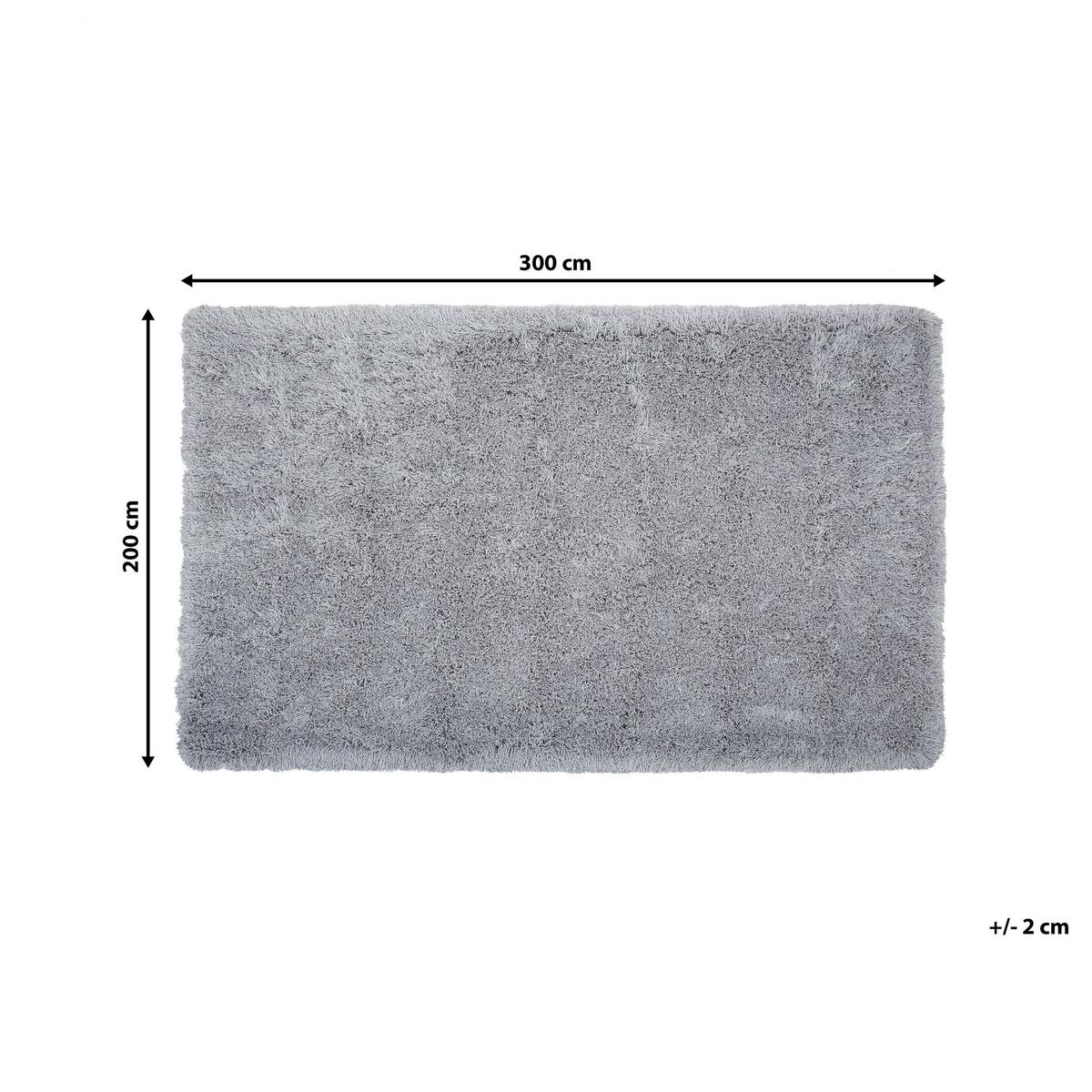 SHAGGY-TEPPICH Cide 300/200 cm - Grau, Kunststoff (200/300cm) - Beliani