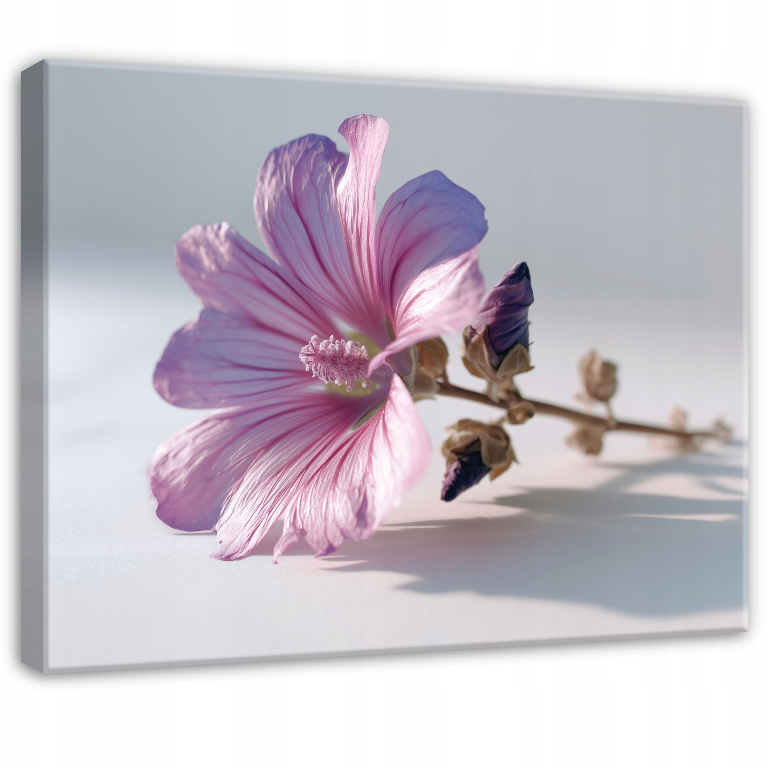 LEINWANDBILD Blumen Natur Rosa 100x70 cm - Multicolor, Holzwerkstoff (100/70cm) - Wallarena