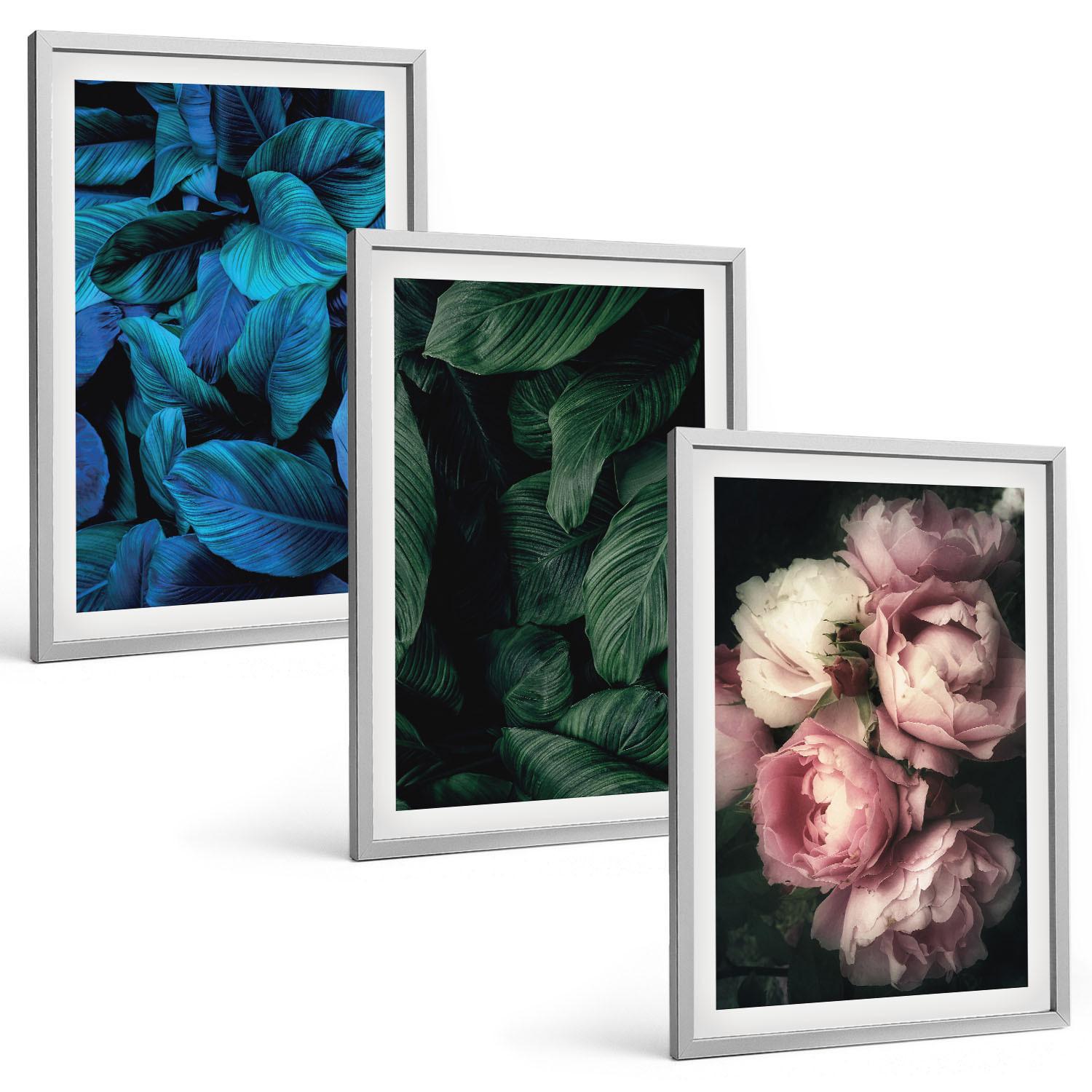 BILDER SET 3er Set - 40x60 cm Silberner Rahmen - Blätter, Blüten, verschiedene Farben - Silberfarben, Kunststoff (40/60cm) - TULUP