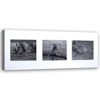 WANDBILD collage tiere aus afrika - Schwarz, Textil (90/30cm) - Feeby