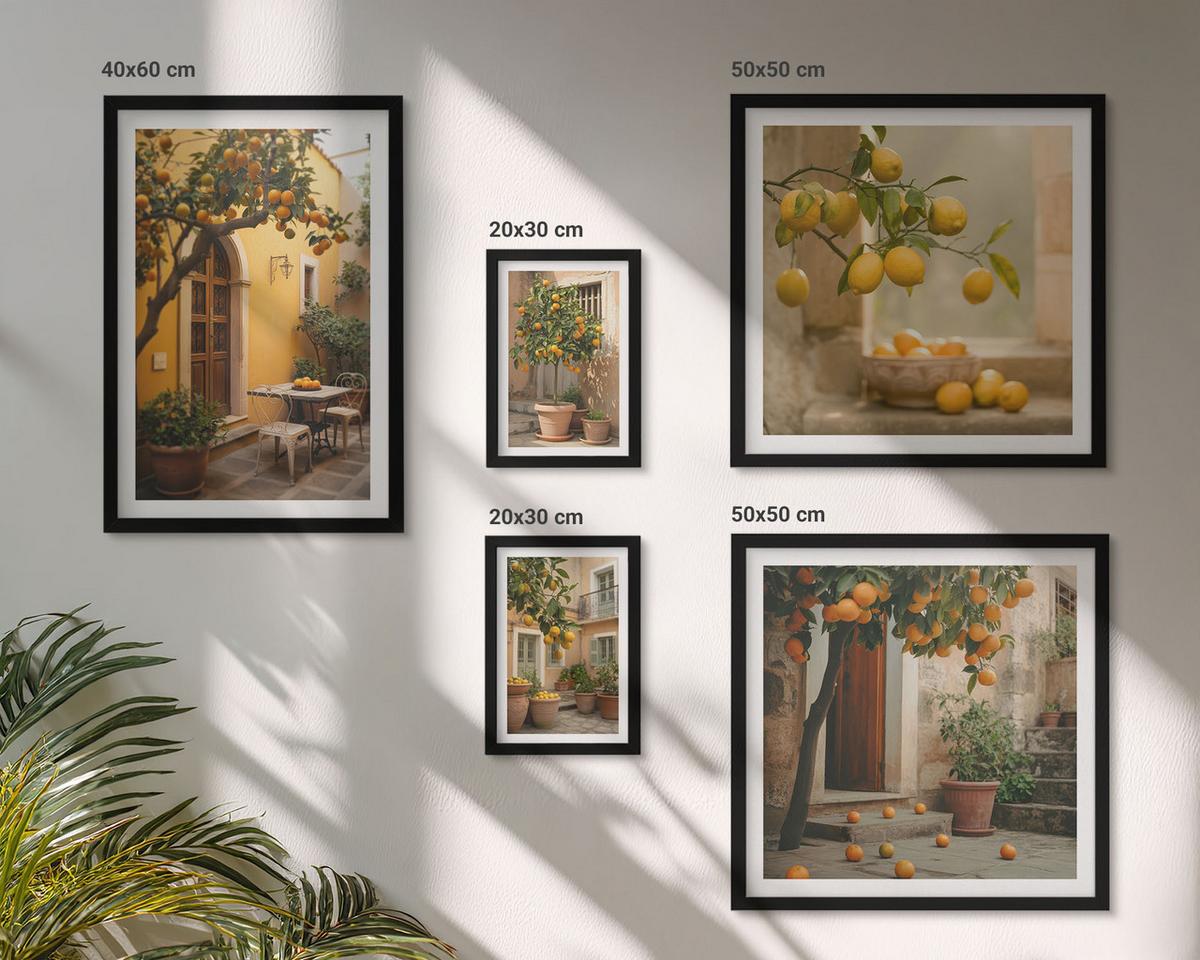 BILDER SET 5er Set - 50x50 cm & 20x30 cm & 40x60 cm Schwarzer Rahmen - Terrasse mit Zitrusbäumen - Schwarz, Kunststoff (40/60cm) - TULUP