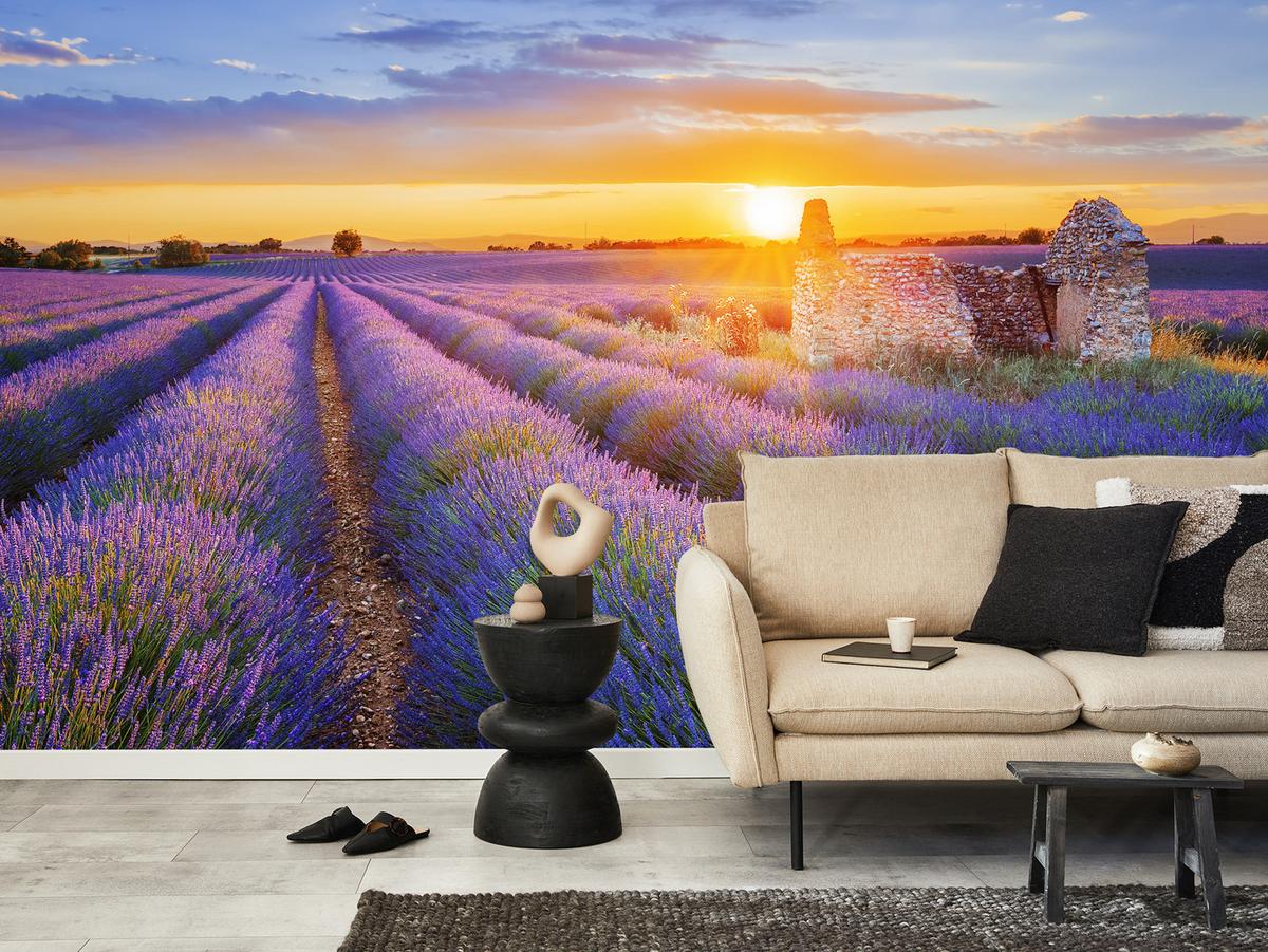 FOTOTAPETE für Wohnzimmer Lavendelfeld Sonnenuntergang Lila 150x105 - Violett/Rosa, Papier (150/105cm) - Muralo