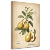 KUNSTDRUCK Beige 40/60 cm - Beige, Textil (40/60cm) - KUNSTLOFT